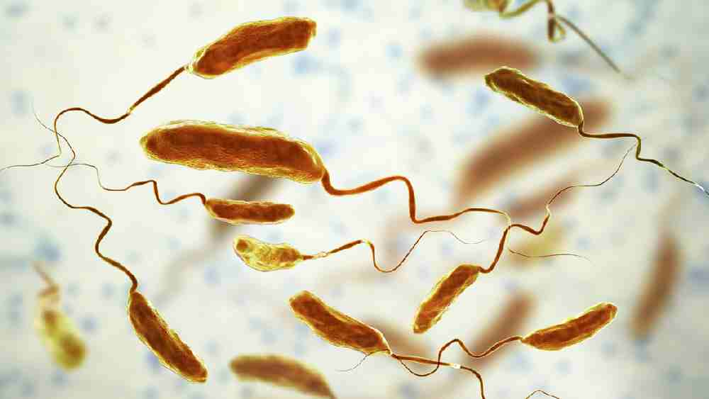 বিভিন্ন রোগের ভ্যাকসিনের নাম তালিকা PDF | List of Diseases and their Vaccines PDF